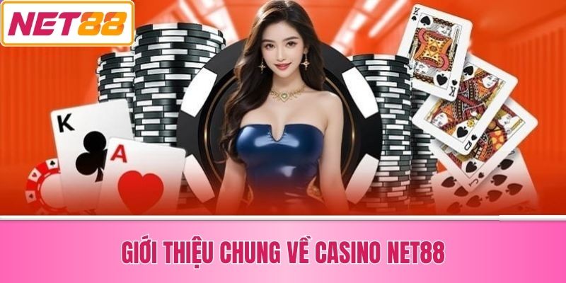Giới Thiệu Chung Về Casino Net88