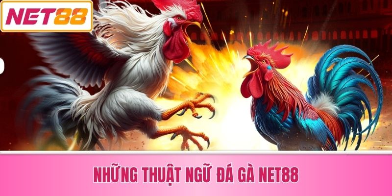 Những Thuật Ngữ Đá Gà Net88