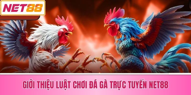 Giới Thiệu Luật Chơi Đá Gà Trực Tuyến Net88