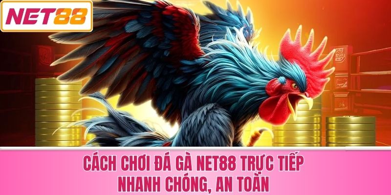 Cách Chơi Đá Gà Net88 Trực Tiếp Nhanh Chóng, An Toàn