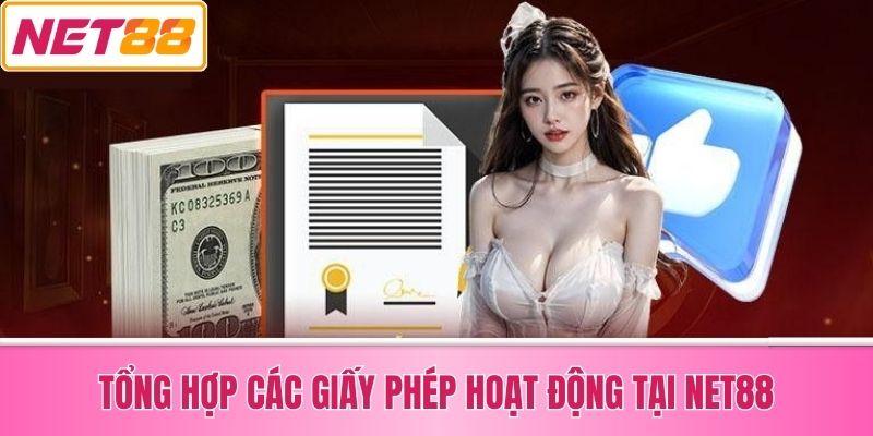 Tổng Hợp Các Giấy Phép Hoạt Động Tại Net88