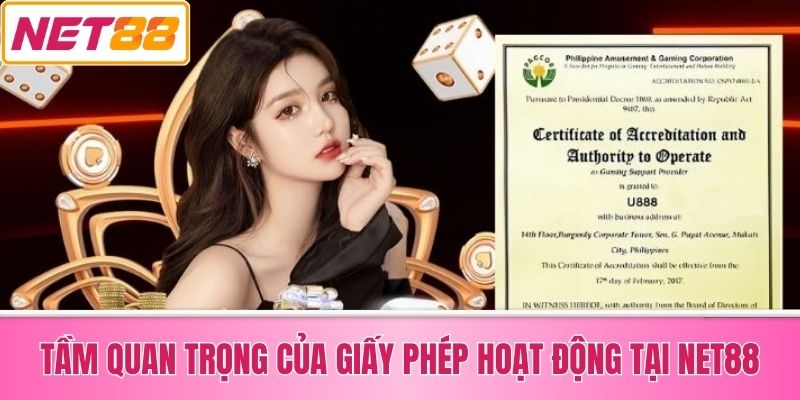 Tầm Quan Trọng Của Giấy Phép Hoạt Động Tại Net88
