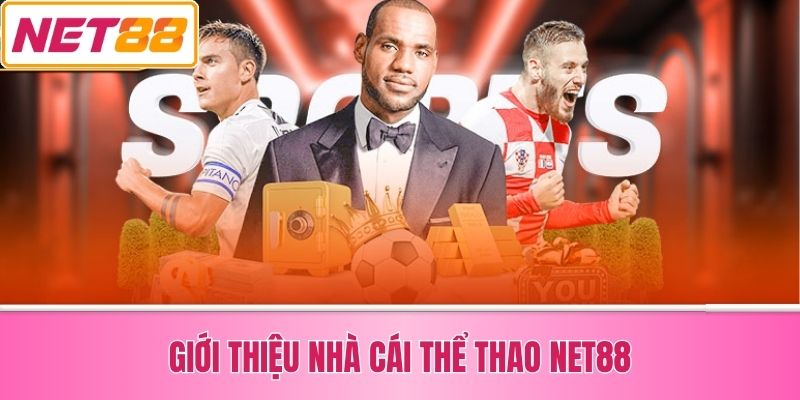Giới Thiệu Nhà Cái Thể Thao Net88