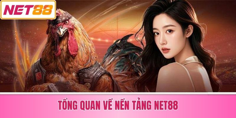 Tổng Quan Về Nền Tảng Net88