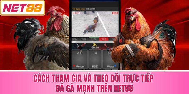 Cách Tham Gia và Theo Dõi Trực Tiếp Đá Gà Mạnh Trên Net88